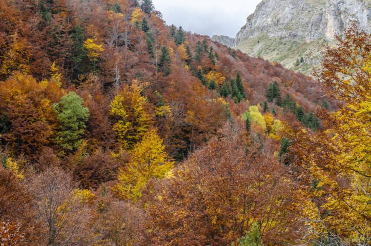 Huesca - valle de Bujaruelo 34.jpg